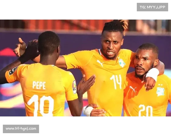 尼日利亚与科特迪瓦激战非洲杯决赛赛事时间定于2月12日